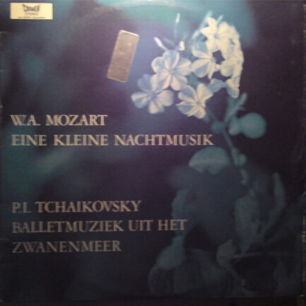 Wolfgang Amadeus Mozart / Pyotr Ilyich Tchaikovsky-0